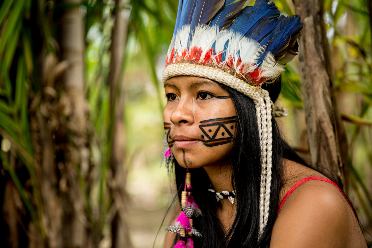 Amazonas